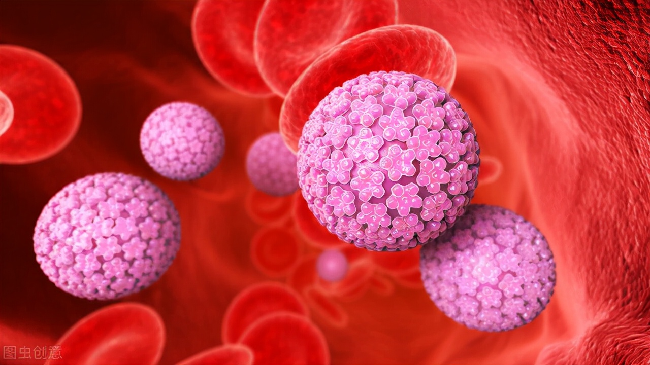 为什么很多女性得hpv,为什么女性更容易得hpv