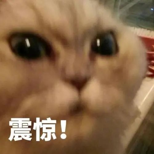 因为整容被嫌弃,因为整容被耍