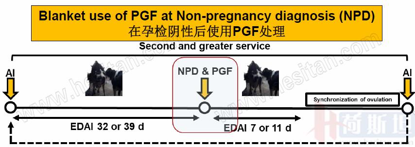 康奈尔大学干细胞研究,康奈尔大学科研