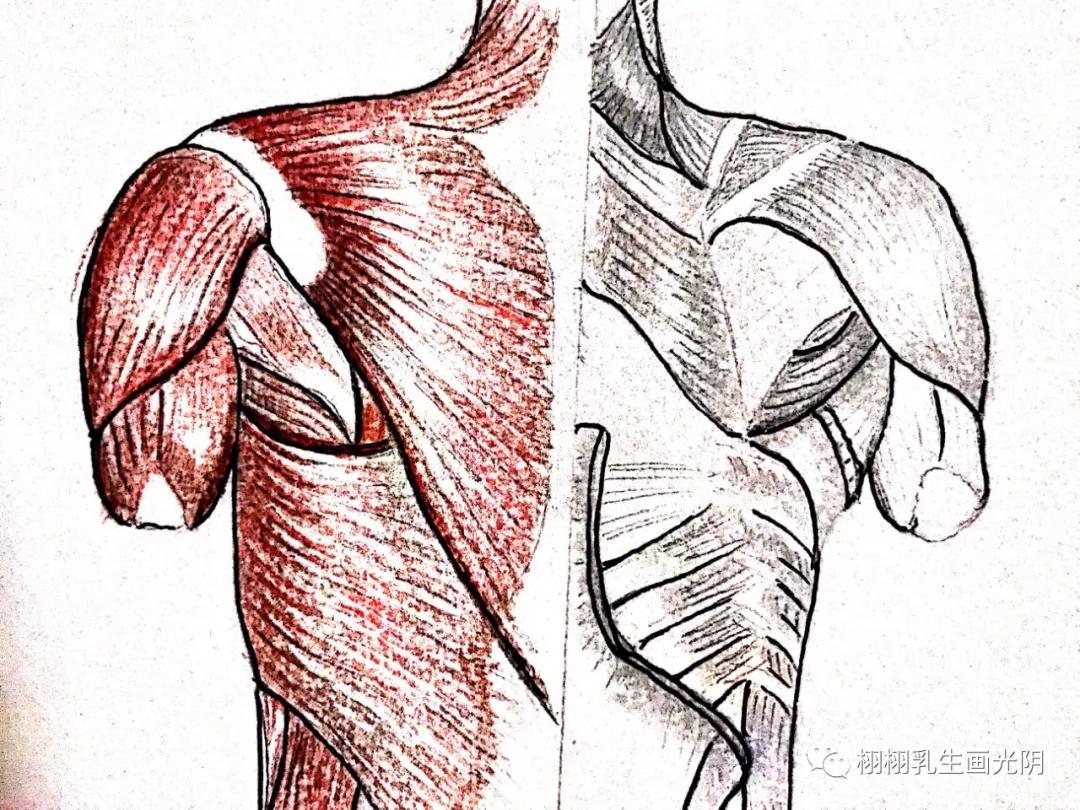 最贵的房子内部图片,最贵的房子内部