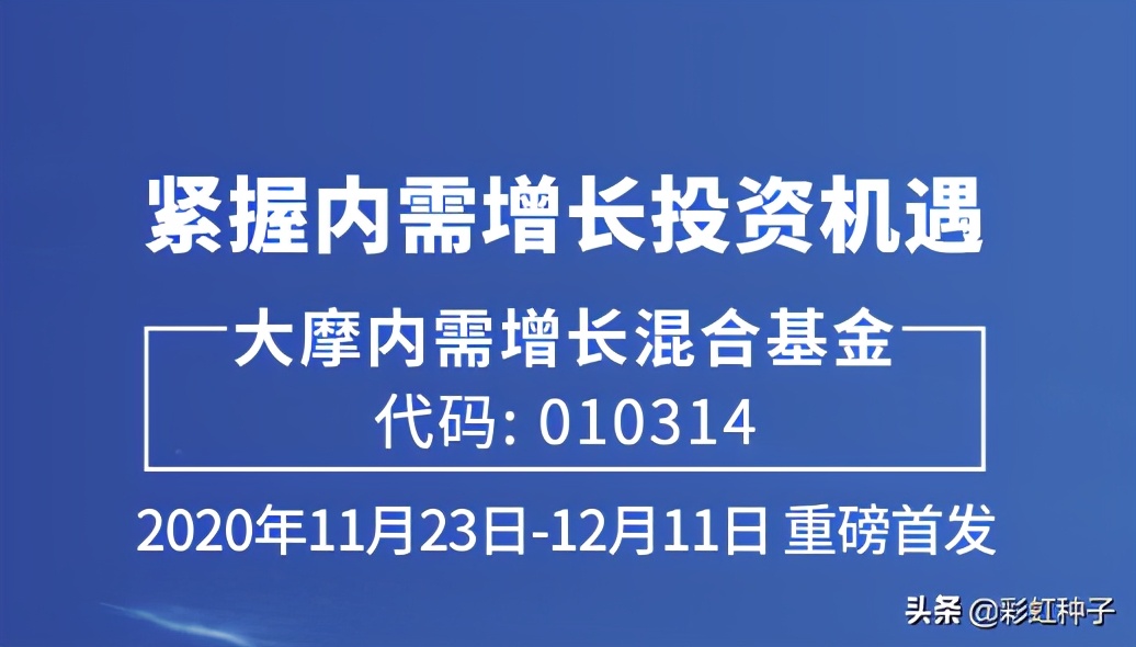 摩根士丹利基金王大鹏,大摩健康基金王大鹏