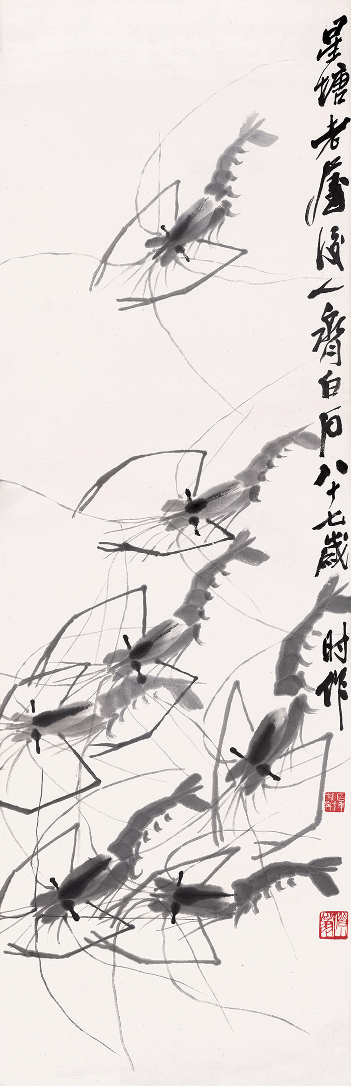 白石老人画虾视频大全,白石老人画虾的感悟