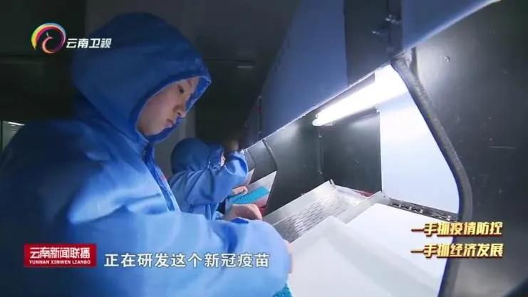 新冠疫苗积极响应国家号召,新冠肺炎疫苗研究取得良好进展
