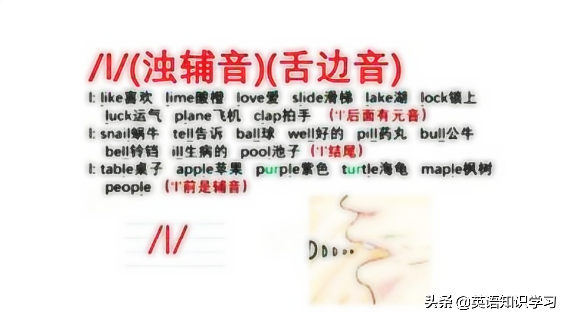 英语音标，L音大舌头矫正及练习，内附发音技巧