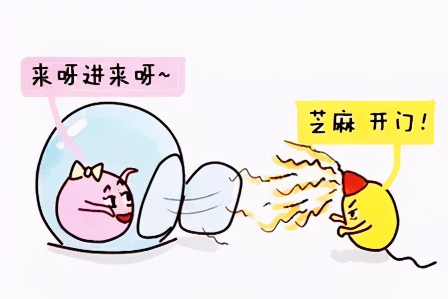 移植优质胚胎着床失败原因,品质差的胚胎为啥还要移植呢