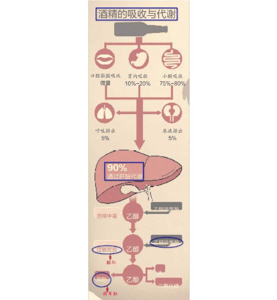澶╂触寰嬪笀娲己,娲己寰嬪笀
