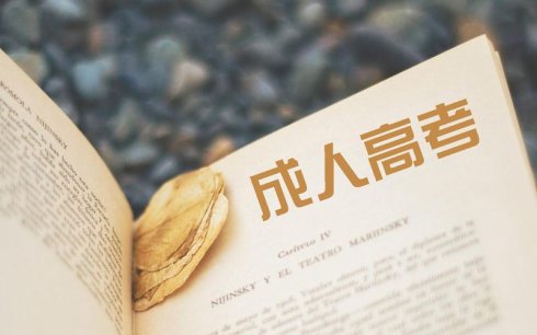 本科学历重要还是研究生学历重要,学历重要吗完整版