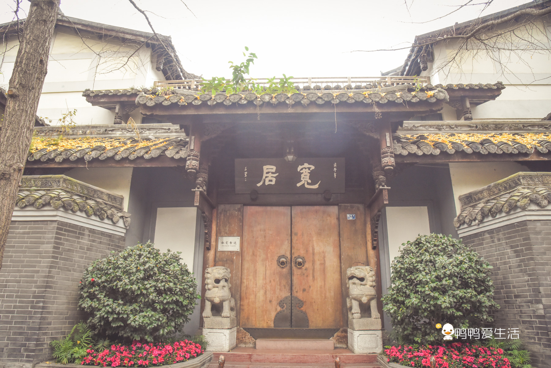 成都旅游必去景点推荐宽窄巷子,成都锦里和宽窄巷子哪个值得去