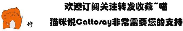 猫咪需要补充矿物质吗,微量元素猫吃的
