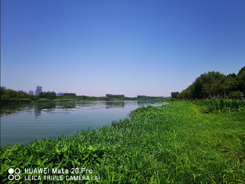 大美滨湖全景图,合肥滨湖塘西河公园美景