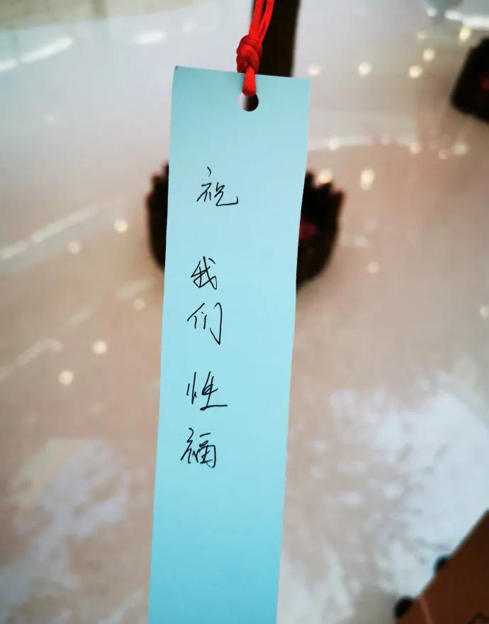看基金的时间,最近看基金的感觉绿得发光