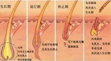 怎么脱毛不用脱腿毛,大腿毛怎么脱毛最快