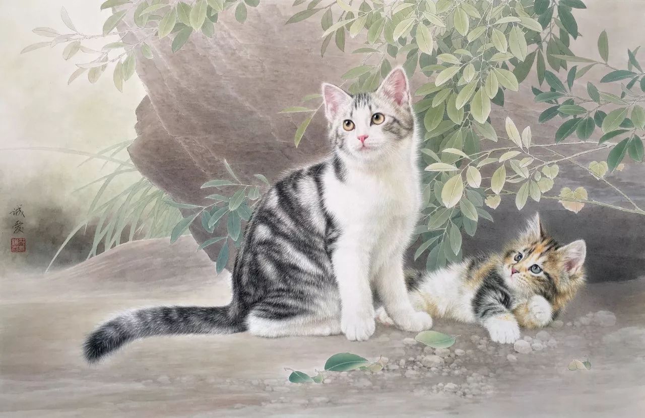 邢诚爱工笔猫画法,邢诚爱工笔画猫兔子高清大图
