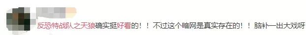 反恐特战队天狼二号,反恐特战队之天狼卧底
