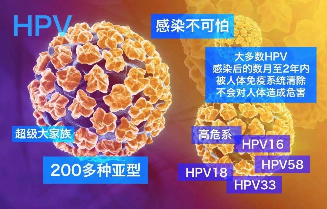 女性hpv混合性感染,每个女人一生都会得hpv