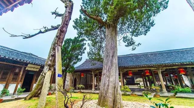 吐鲁番的葡萄熟了的景色,吐鲁番的葡萄熟了美丽的风景