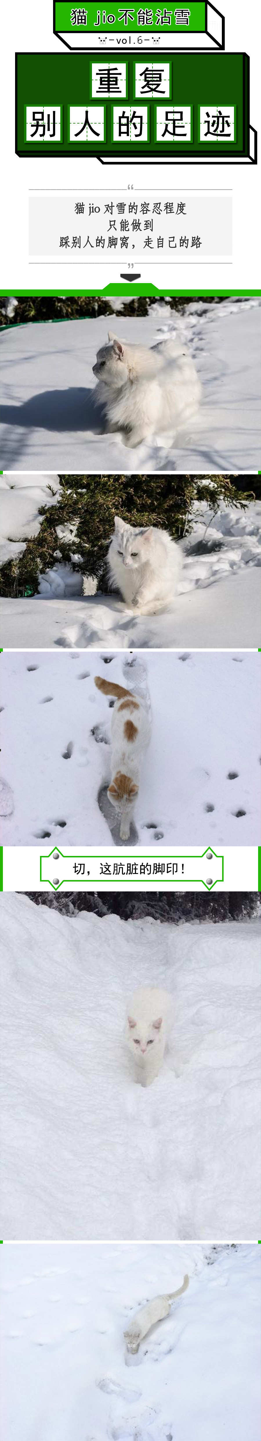 猫爪为什么那么有力,猫爪那么锋利猫舔手不会受伤吗