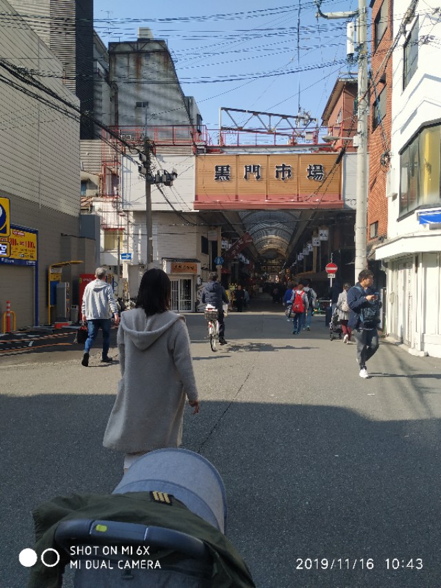 日本关西旅游14天,关西14天旅行攻略