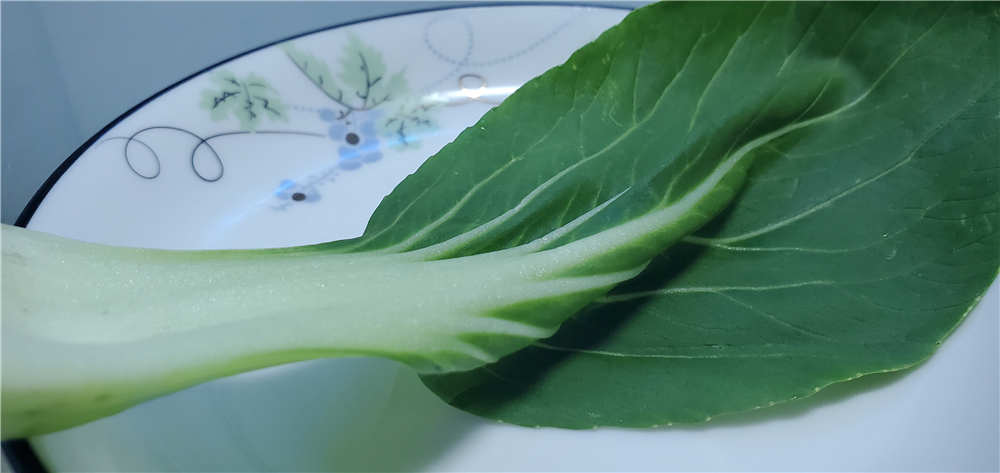 美的605升冰箱品质怎么样,美的606冰箱优缺点