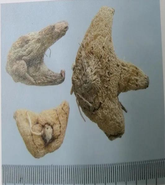收敛止血的中成药有哪些,止血收敛的药有哪些