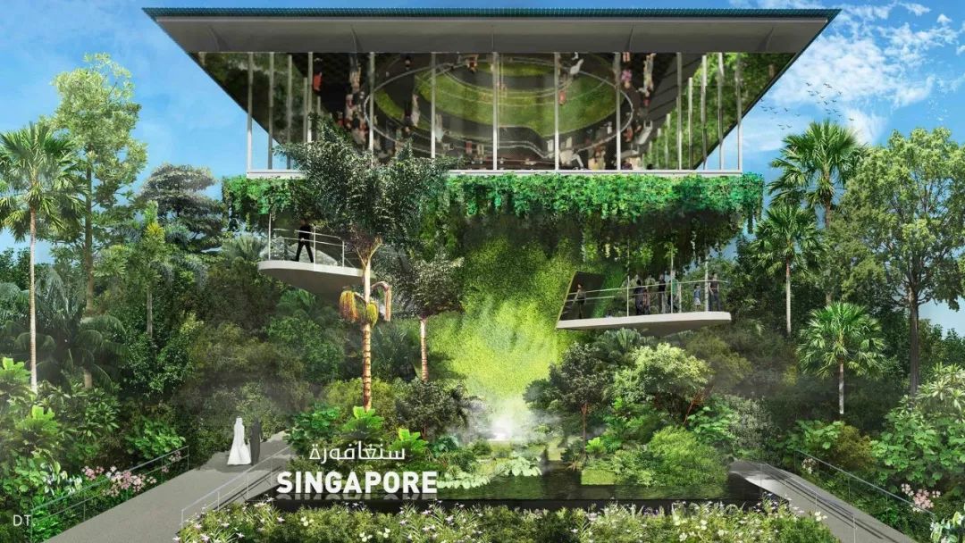2020迪拜世博会，各国展馆“群魔乱舞”！大型综艺建筑师的夏天？