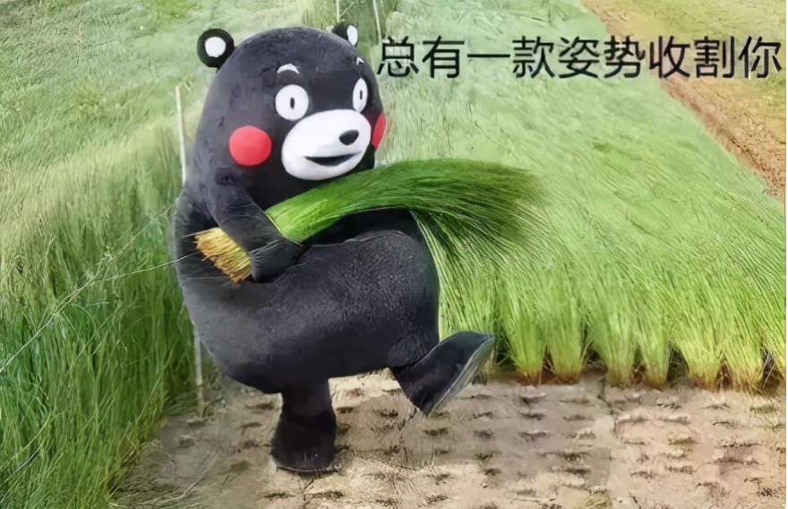 华尔街散户血洗金融大鳄完整,美国韭菜大战华尔街大鳄