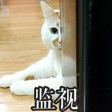 哈高科与湘财股份,湘财股份重组最新消息