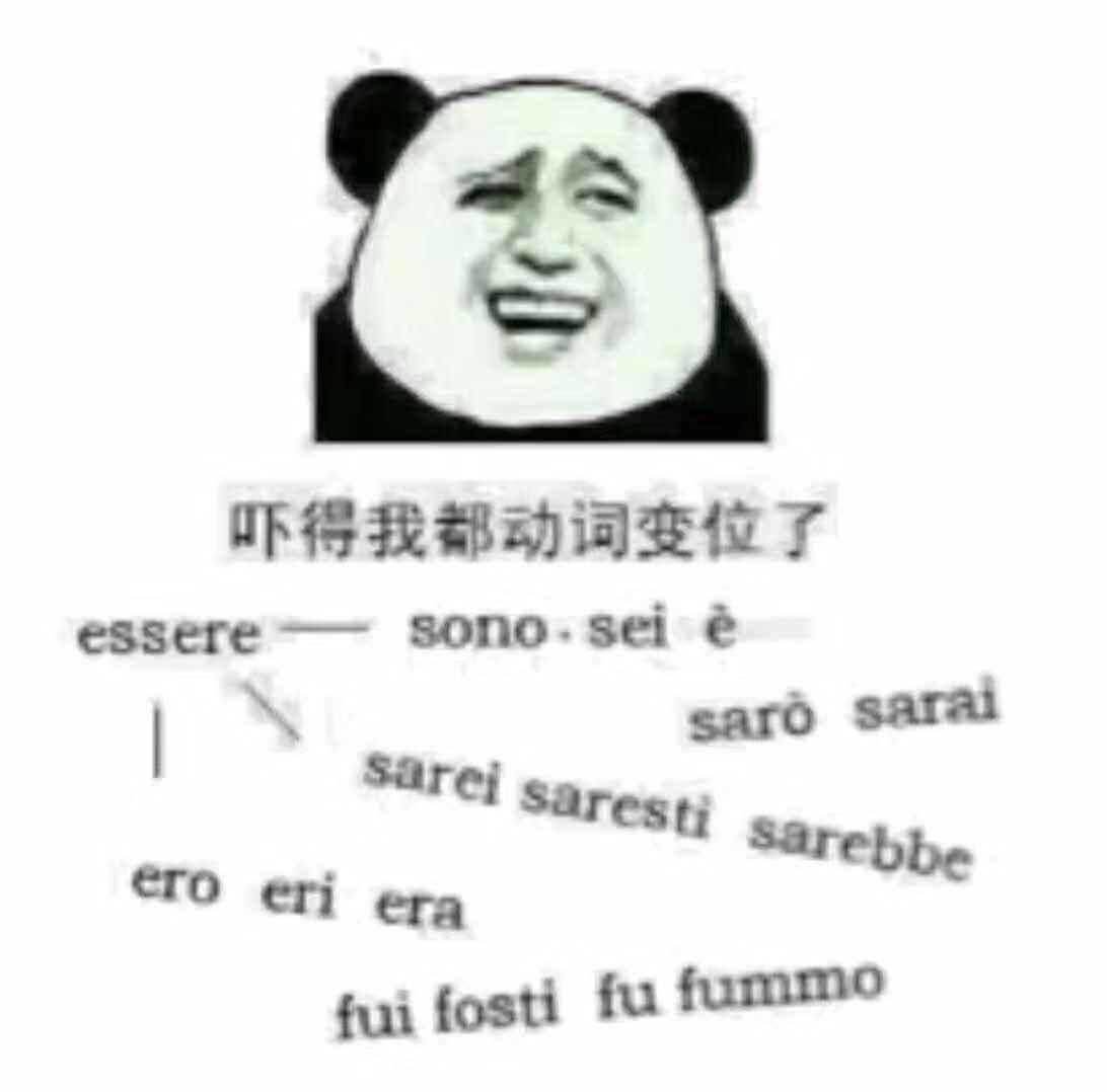 如何学好意大利语,如何学好意大利语歌