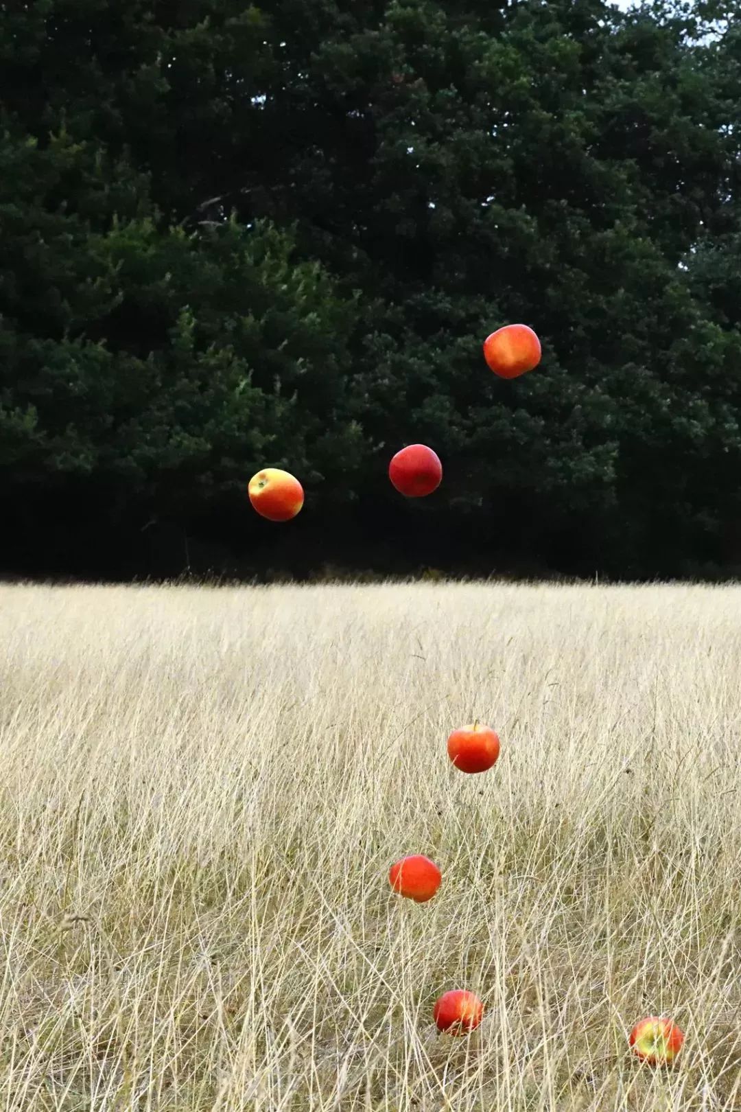 文艺有好展：收藏拍卖级的摄影作品，长什么样？|张小玉