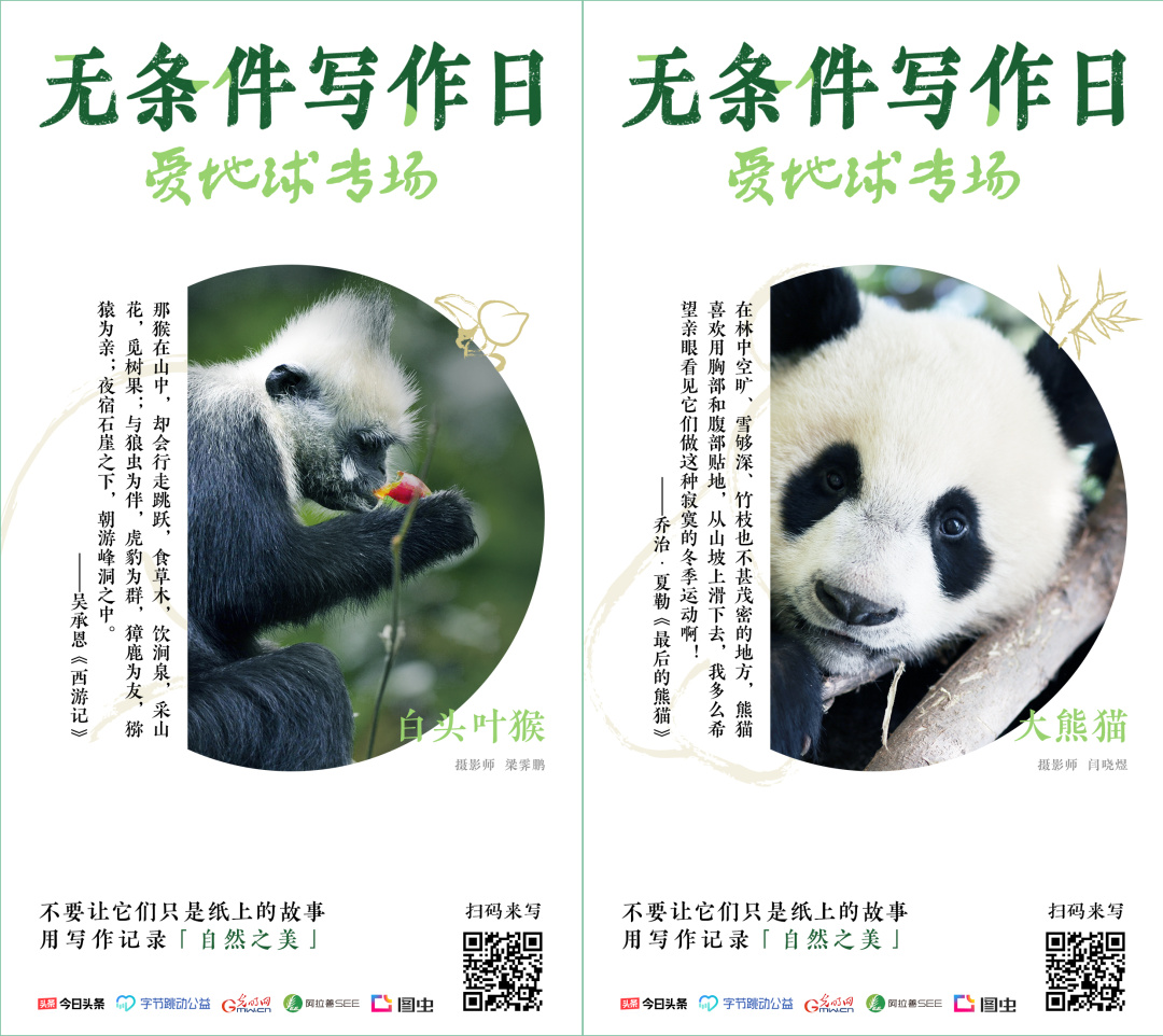 一个云南人如何成为最多产的“西方”博物学家？