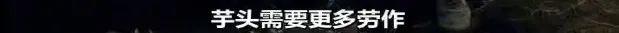 这次疫情让世界明白中国的重要性,到今天疫情怎么样了
