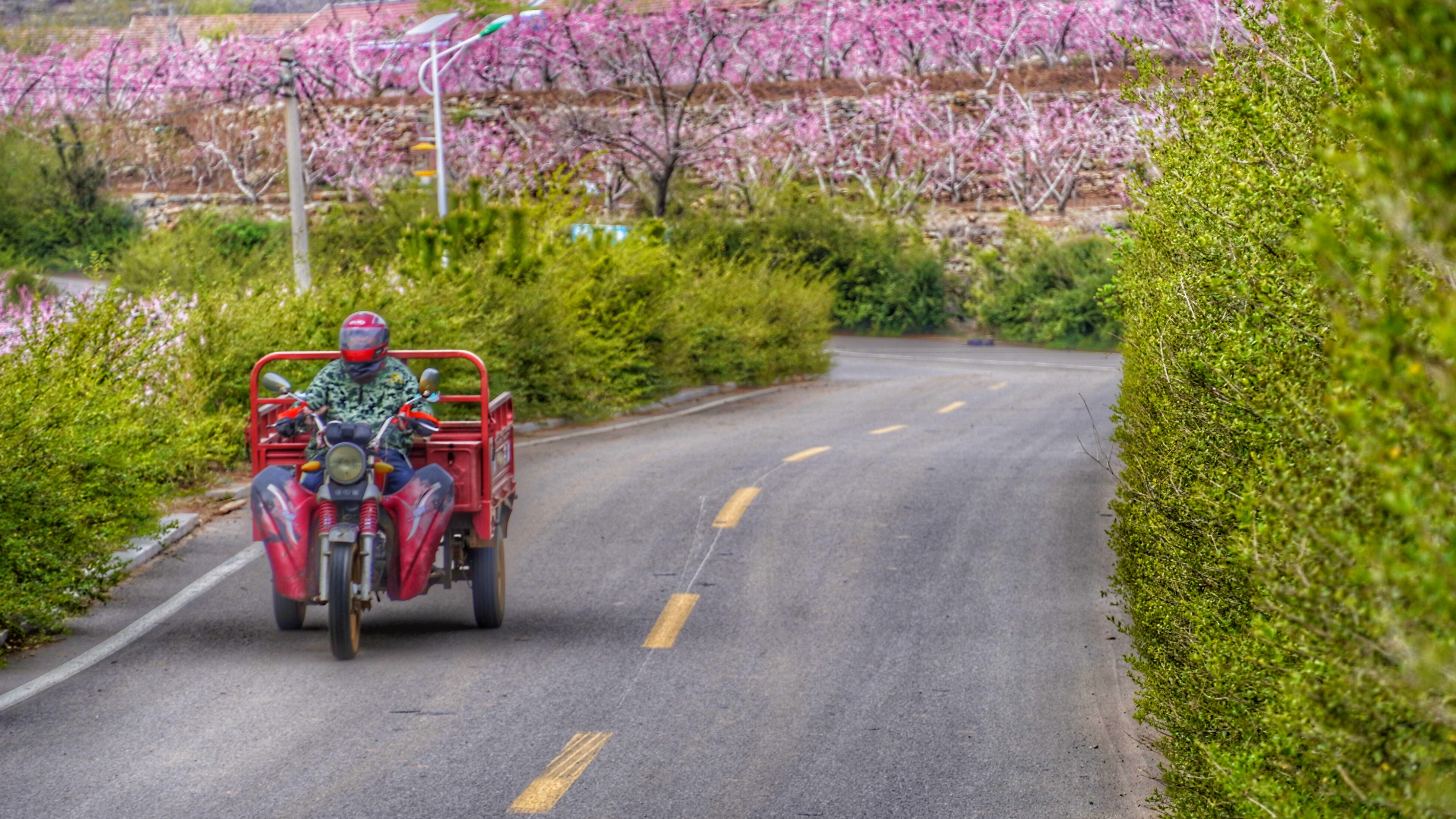 岱崮地貌只有沂蒙山区有吗,沂蒙山世界地质公园岱崮园区