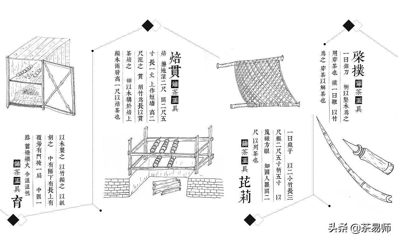 茶易师,易经大师讲茶叶