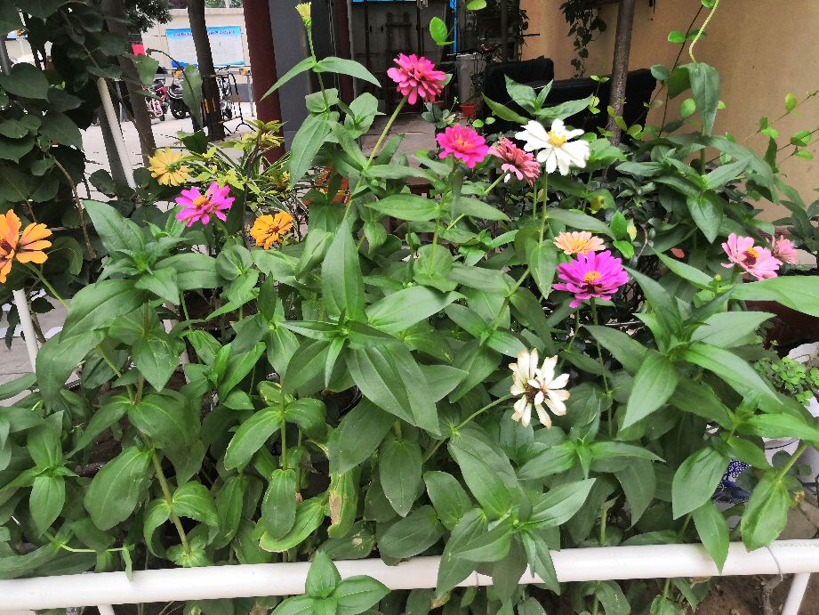 绝句的56种写法,七言绝句56个技巧