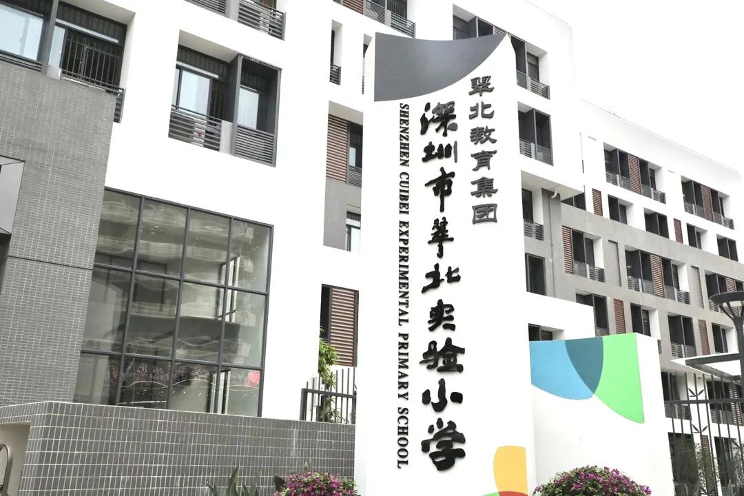 王炸组合2023排名,初中选科王炸组合