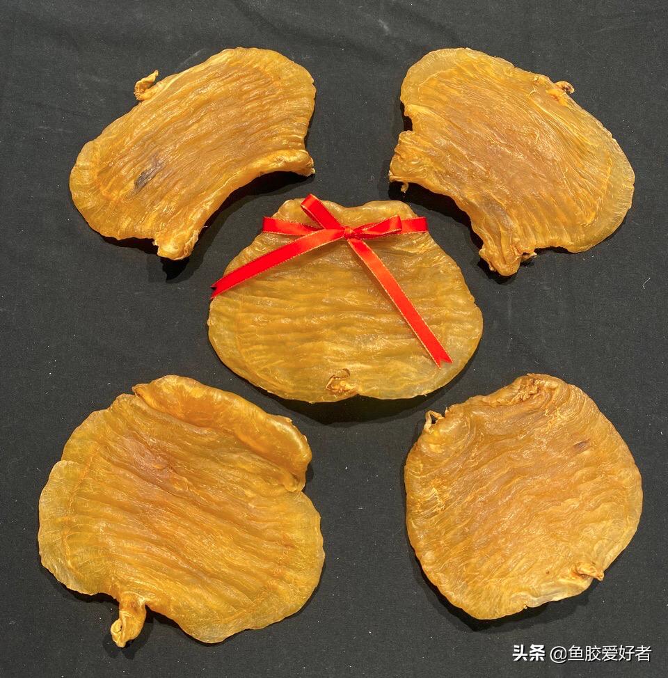 鳘鱼胶有哪些品种,赤嘴鱼胶哪个品种比较补血