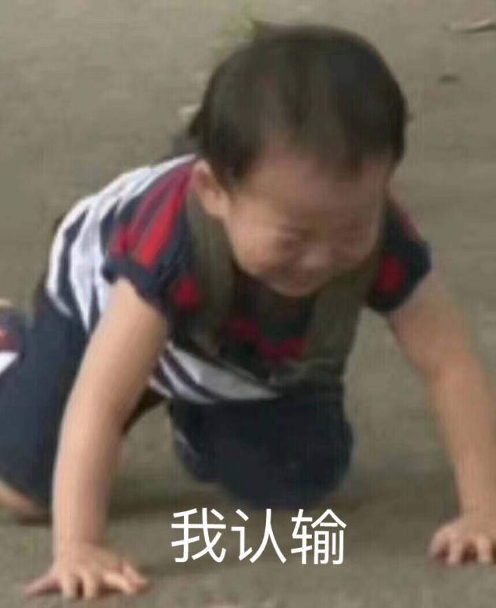 欧拉数学之王完整版,数学大师欧拉的传奇一生