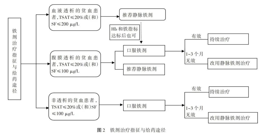 关于肾性贫血的几点建议,治肾性贫血有哪几种药