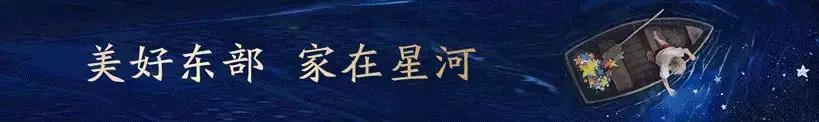 惠州大湾区星河丹堤,惠州大亚湾星河丹堤大平层