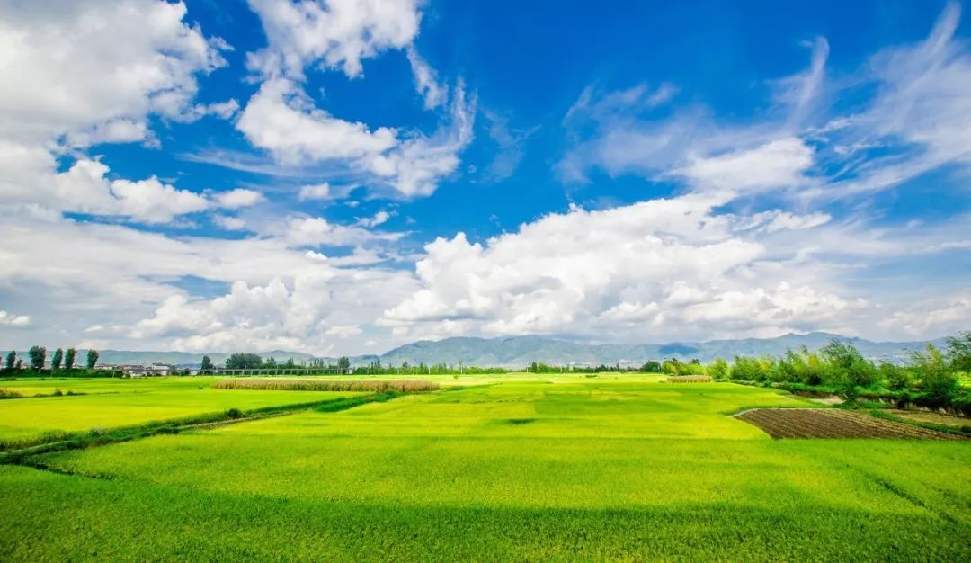 避暑攻略｜夏季均温19℃的大理苍山，才是当之无愧的纳凉避暑地