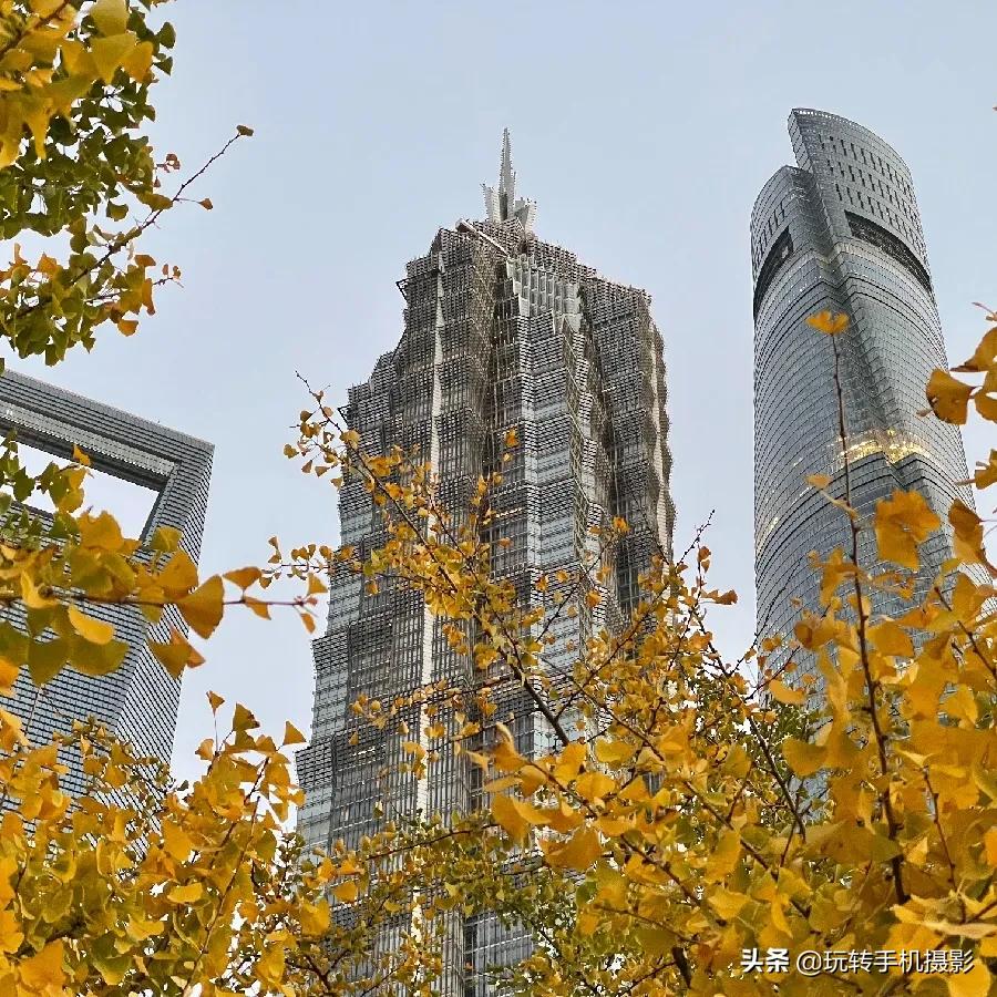 这才是iphone最强大的拍照功能,iphone拍照最好看的机型