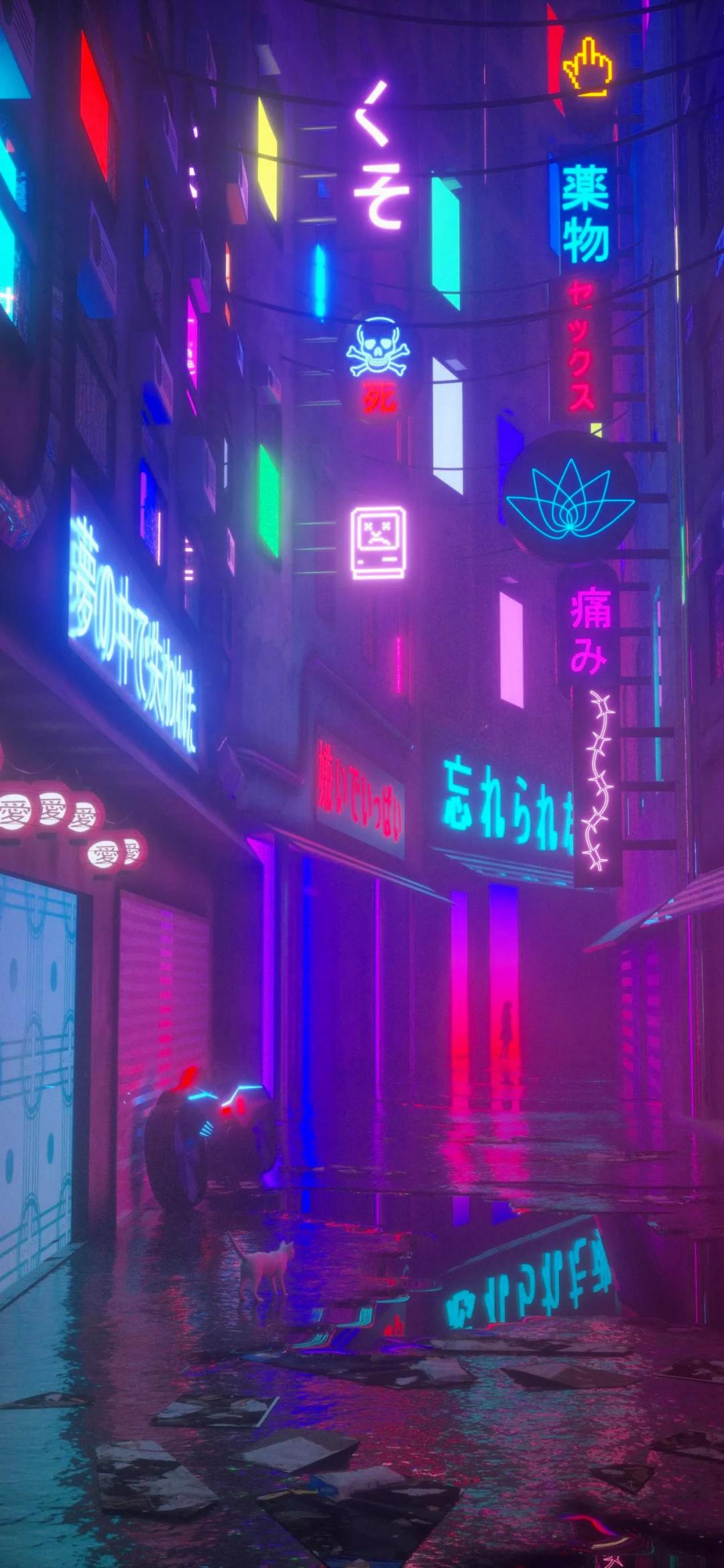 壁纸不要寄希望于别人多看自己,壁纸接受事与愿违