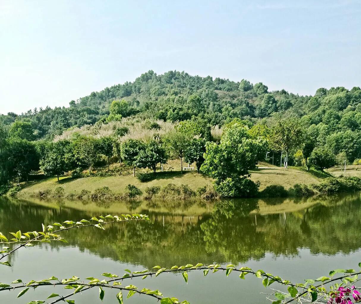 深圳市十大免费公园,深圳十大湖泊