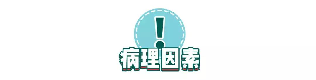 猫咪狗狗骨折了怎么办？扒一扒宠物“骨子里”的那些事