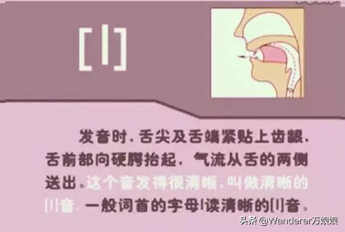 英语48个音标发音附详细图解,音标发音48个正确发音讲解视频