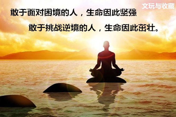盘点文玩市场常见的四十种菩提子,有哪些所谓的文玩菩提