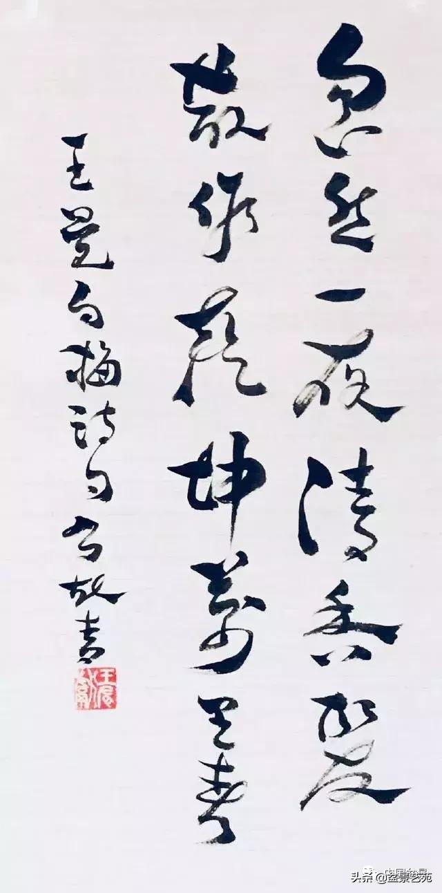 赏梅花十首最好的诗,最经典的梅花十绝