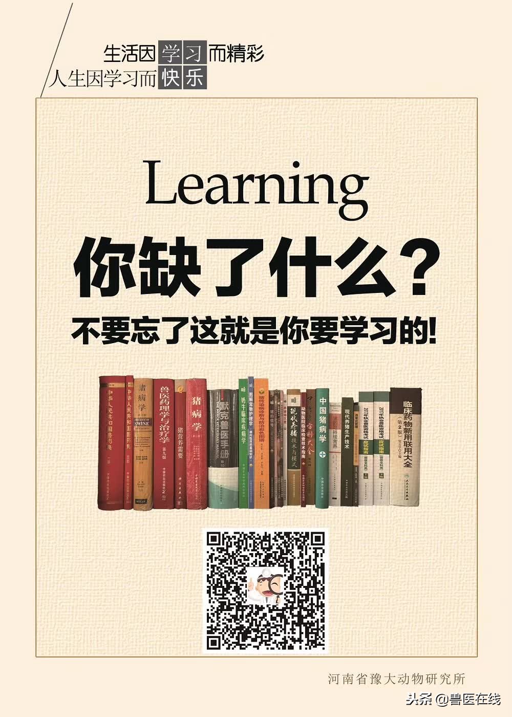 猪丹毒好治吗,猪丹毒什么症状可怕吗