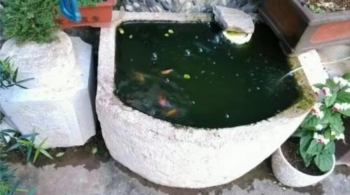 鱼缸温度达到多少度能去除绿水,鱼缸去除绿水最简单的办法