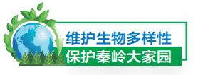 让客来时所见一山碧绿万物竞发